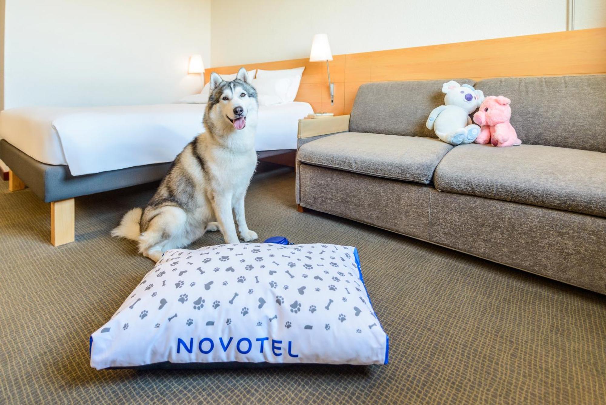 Novotel Torino Corso Giulio Cesare Екстер'єр фото